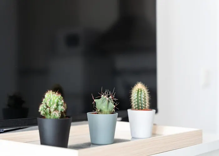 Near フエンヒロラ